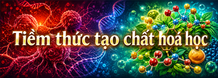 Bất cứ hình ảnh nào bạn giữ trong tâm trí, não bộ đều phản ứng với nó